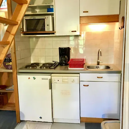 Daire Le Grand Adret - Deux Pieces + Mezzanine Mae-3914 *